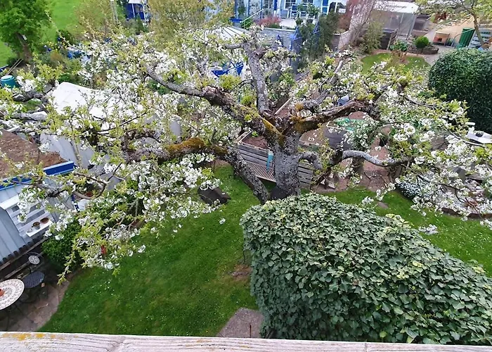 Apartman Rettersheim Mainspessart *